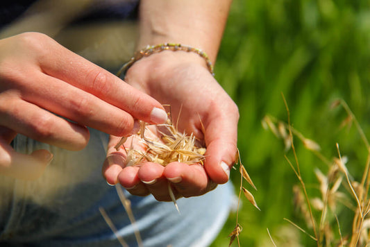 Gluten intolerance and celiac disease
