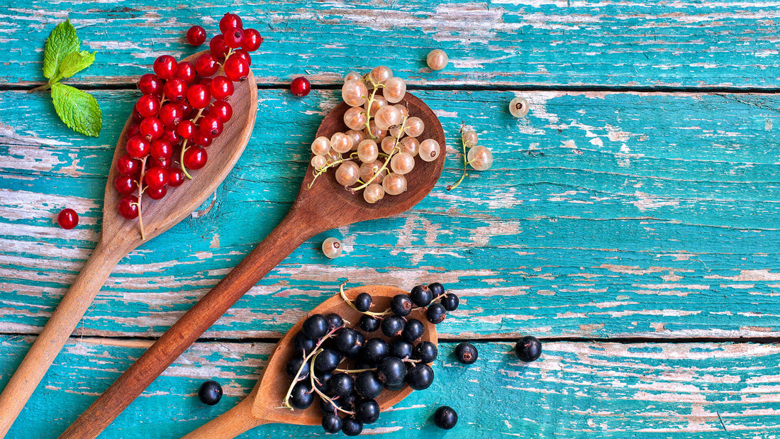 Currant varieties on wooden spoons