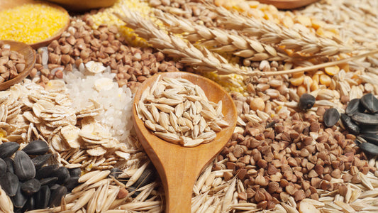 Getreidesammlung mit Holzlöffel