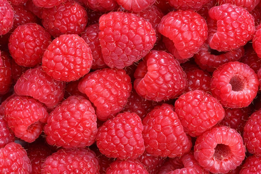 Nahaufnahme von frischen, reifen Himbeeren, die ihre leuchtend rote Farbe und detaillierte Textur zeigen.